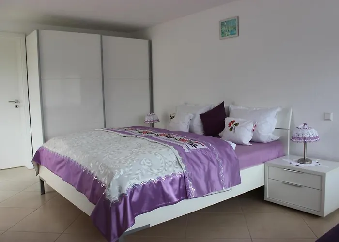 Bodensee ゲストハウス